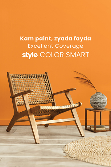 Style Colour Smart